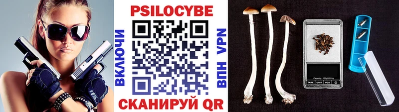 наркошоп  Сретенск  Галлюциногенные грибы прущие грибы 